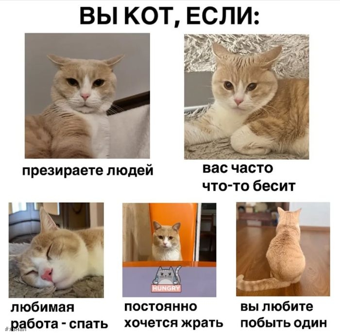 Приколы