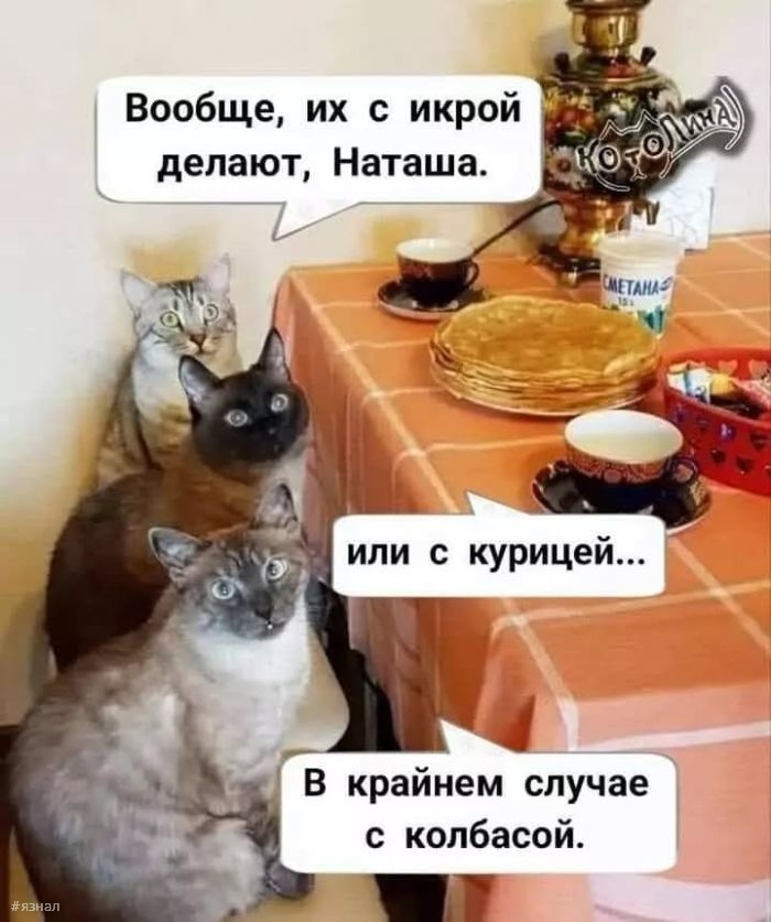 Приколы