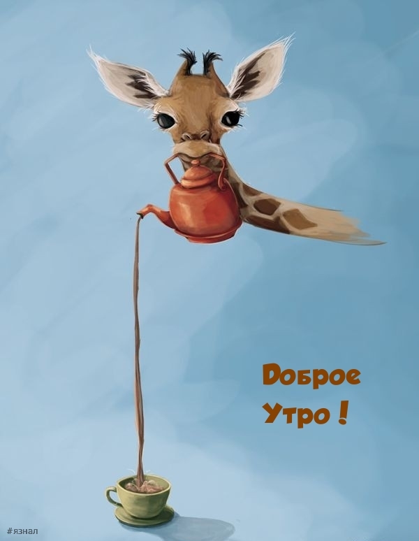 Доброе утро