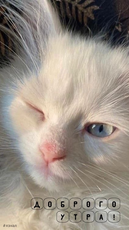 Доброе утро