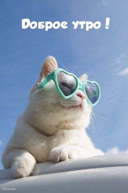 Доброе утро