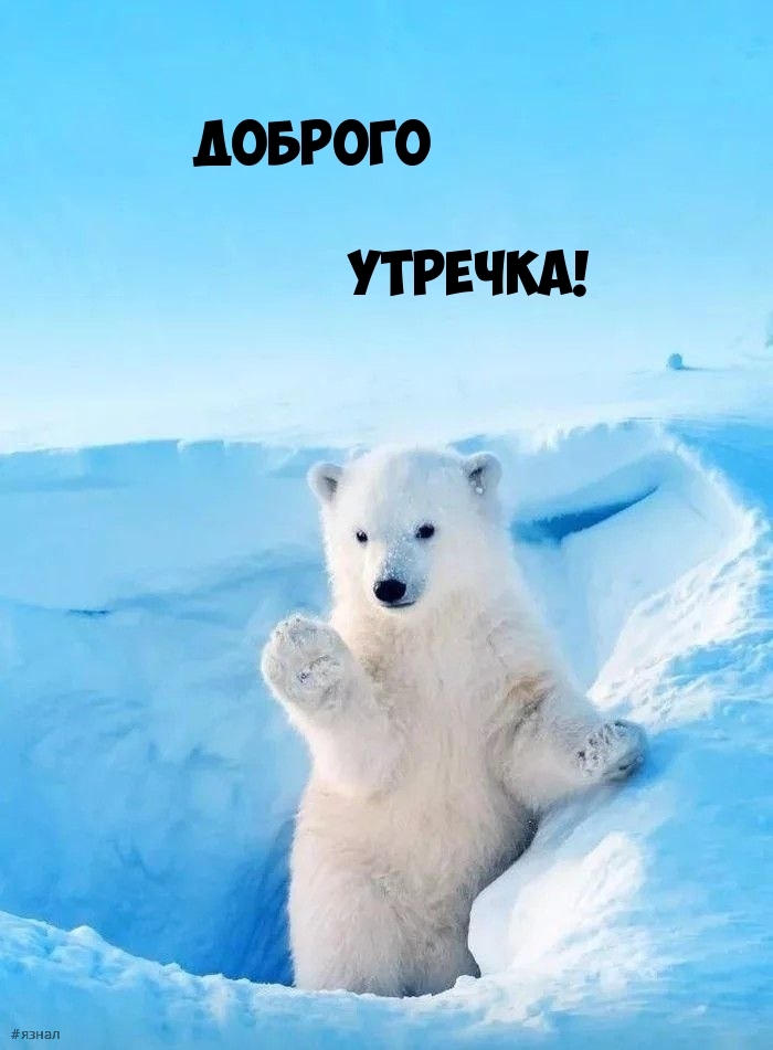 Доброе утро