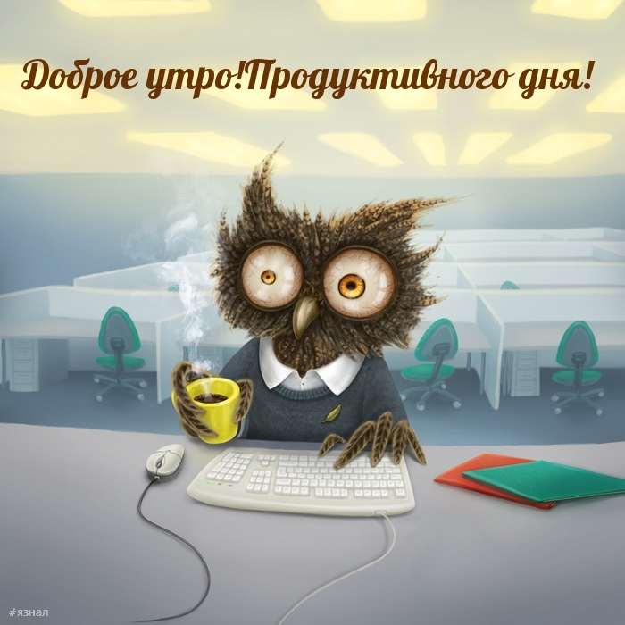 Доброе утро