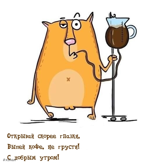 Доброе утро