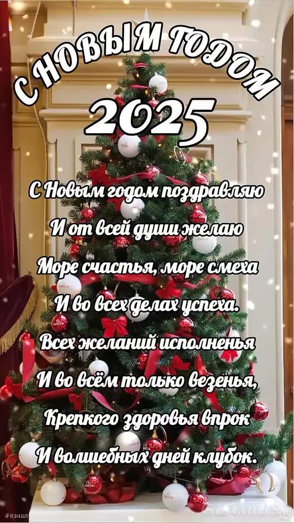 С новым годом змеи 2025