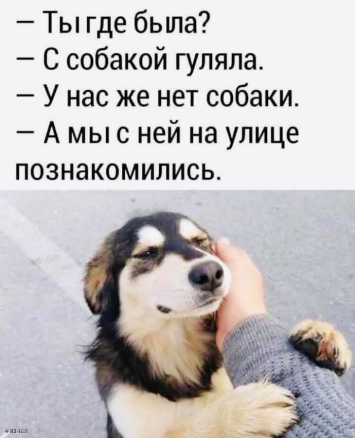 Смешные мемы и приколы