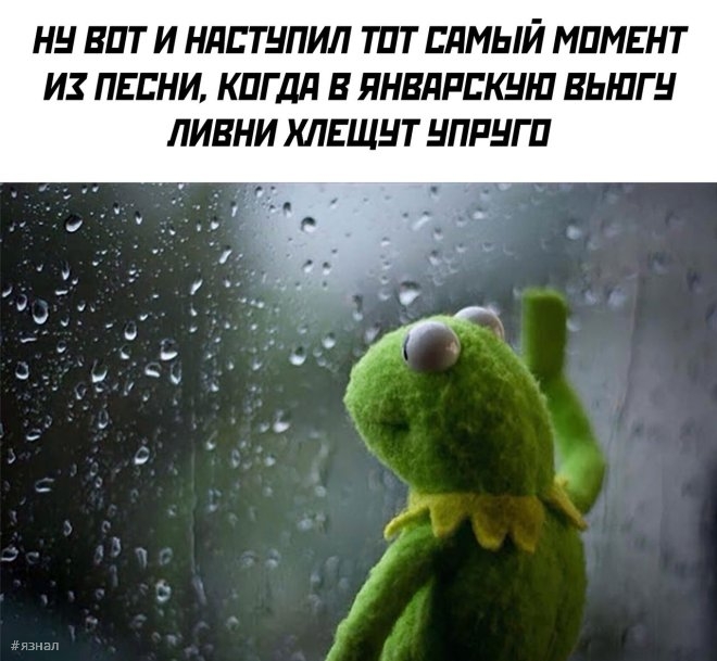 Мемы и приколы