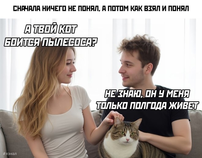 Смешные картинки