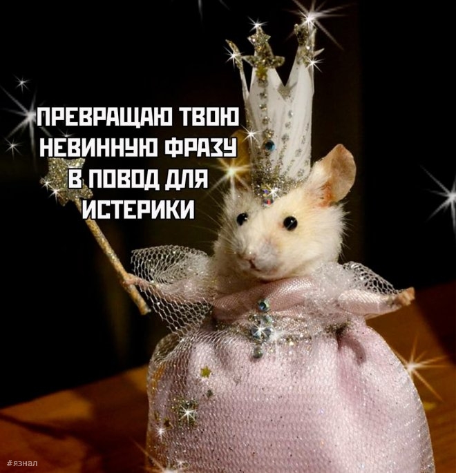 Мемы и приколы