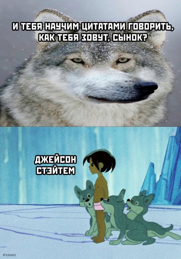 Мемы и приколы