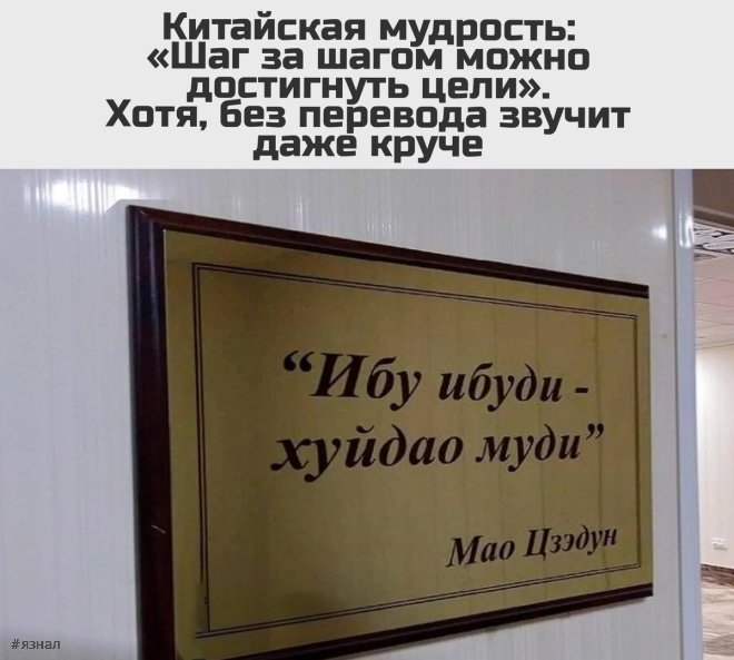 Мемы и приколы