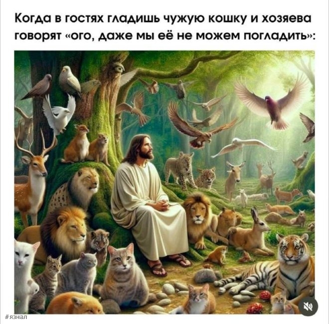 Мемы и приколы