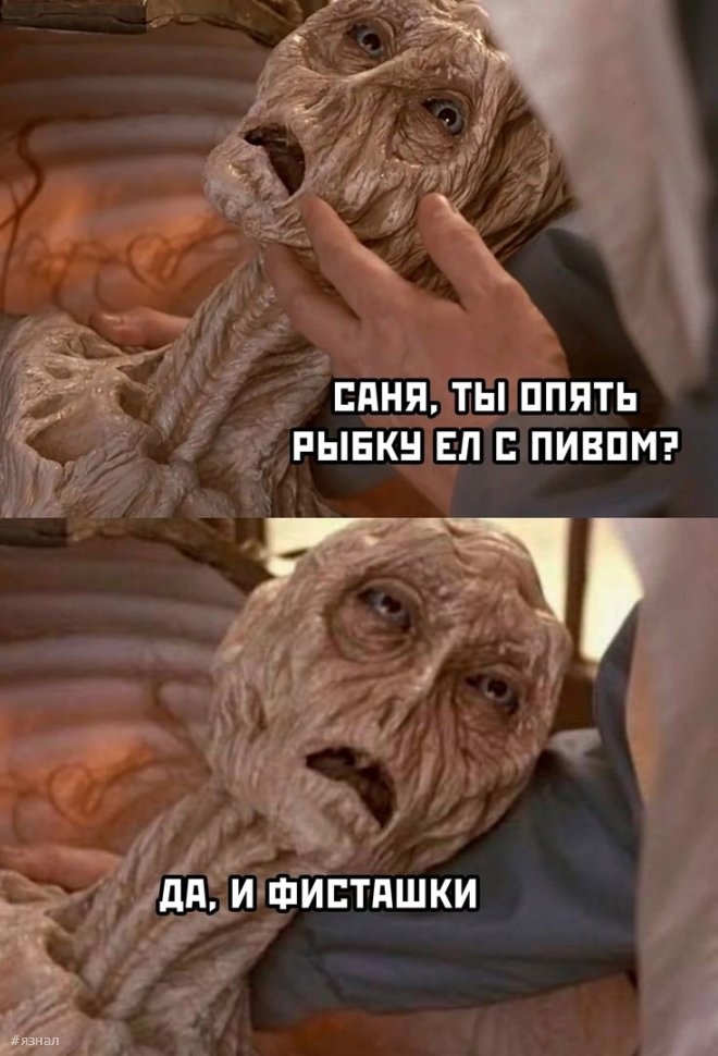 Мемы и приколы