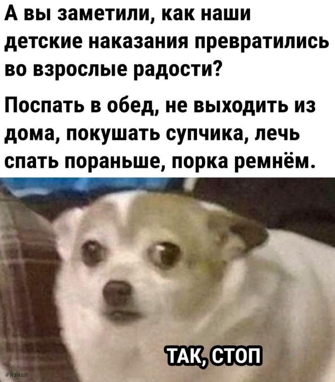 Мемы и приколы