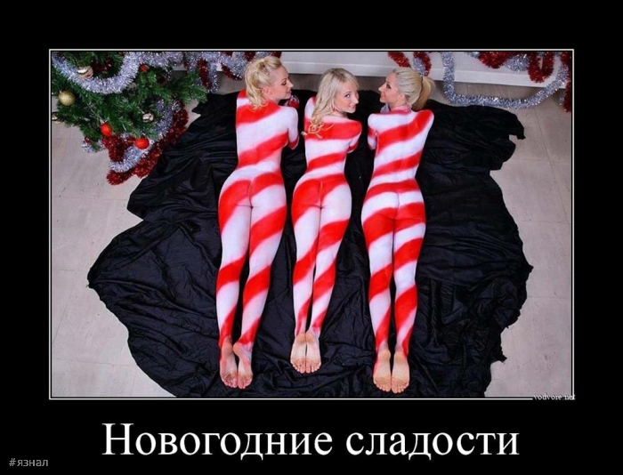 Смешные новогодние приколы в картинках и фото