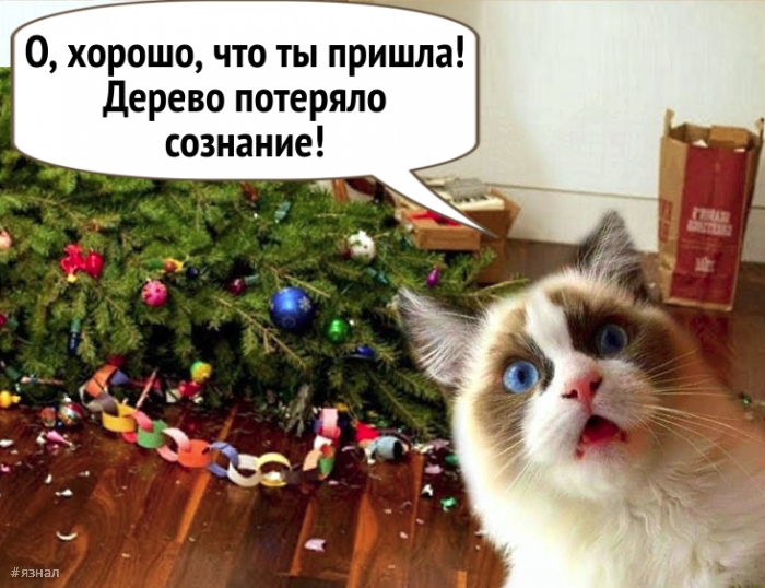 Смешные новогодние приколы в картинках и фото