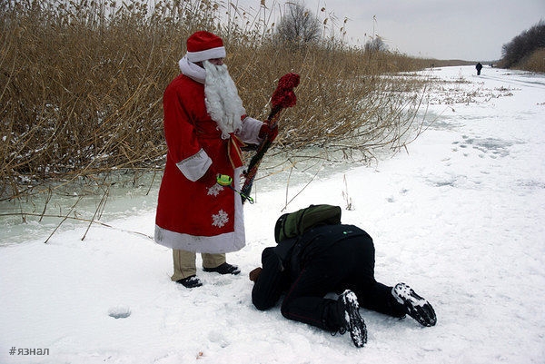 Смешные новогодние приколы в картинках и фото