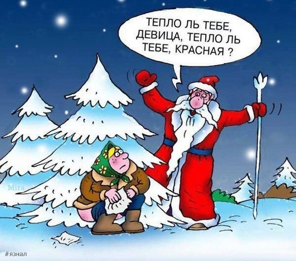 Смешные новогодние приколы в картинках и фото