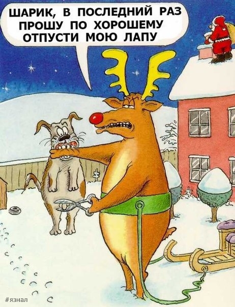 Смешные новогодние приколы в картинках и фото