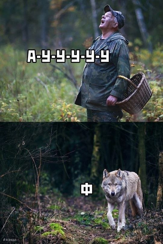 Смешные мемы