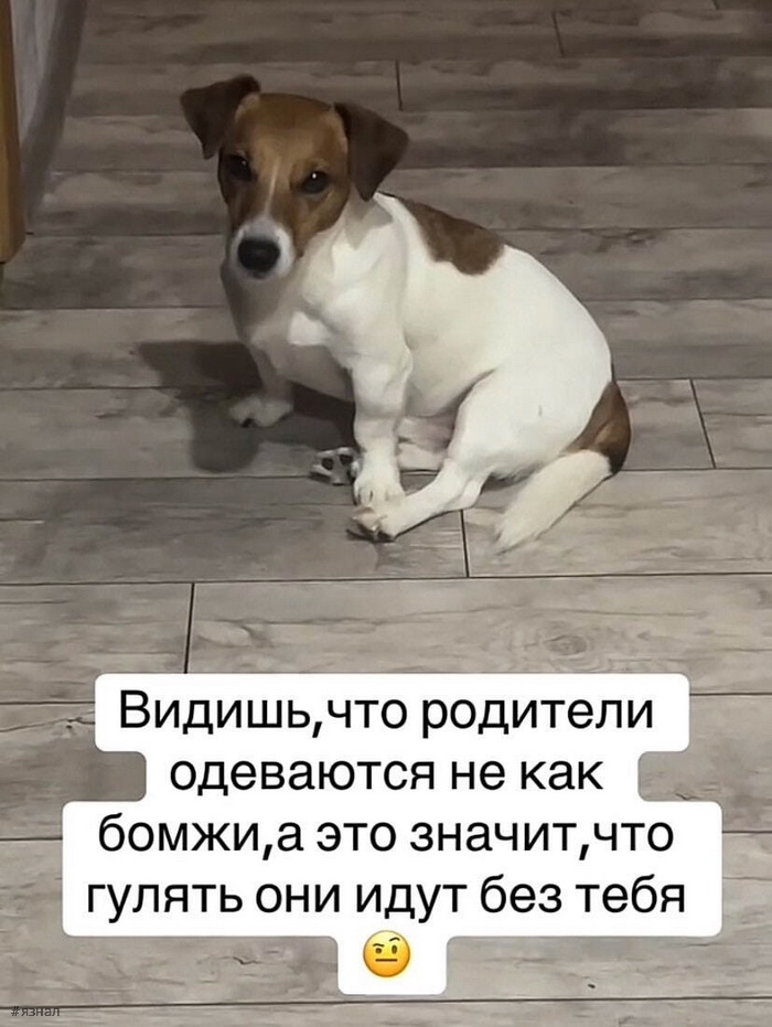 Смешные мемы