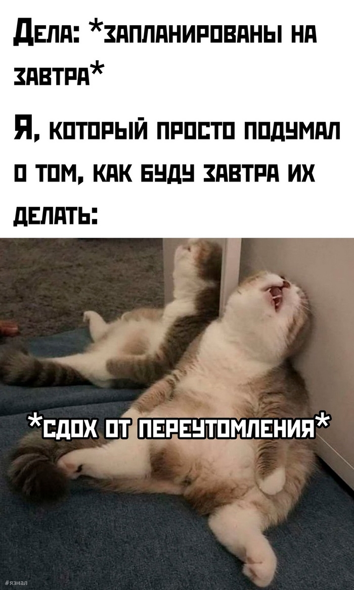 Смешные мемы