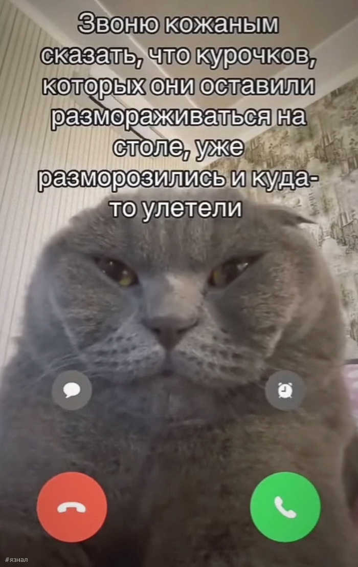 Смешные мемы