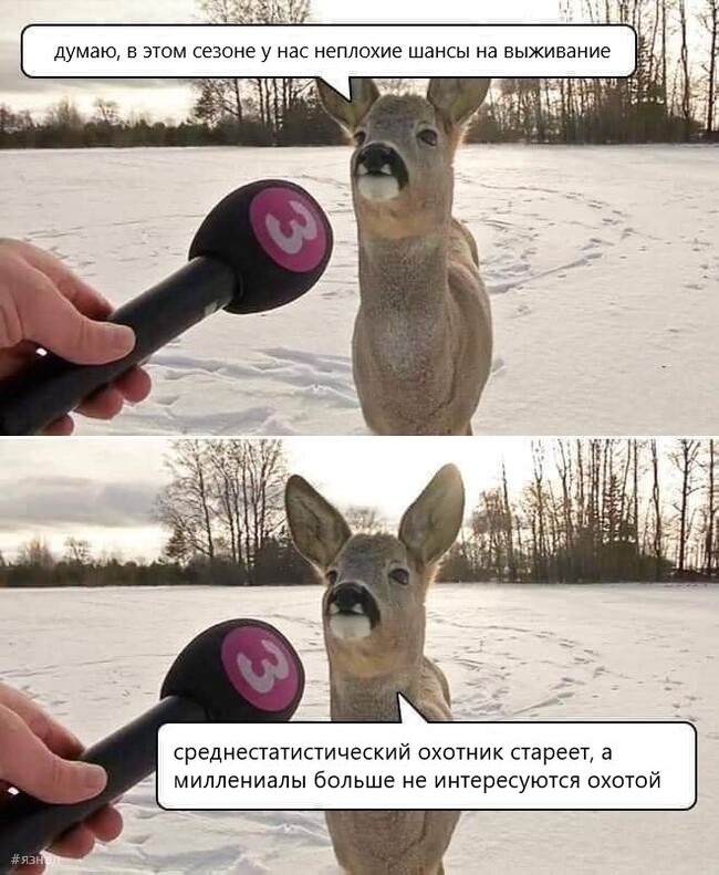 Смешные картинки