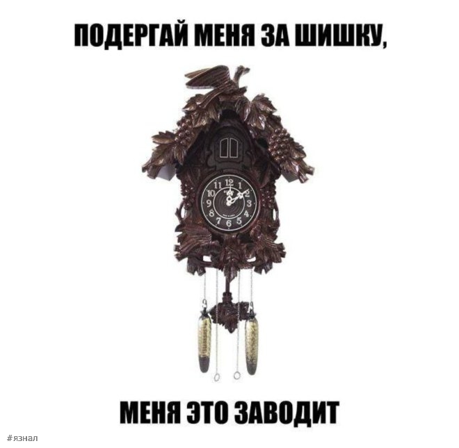 Смешные картинки