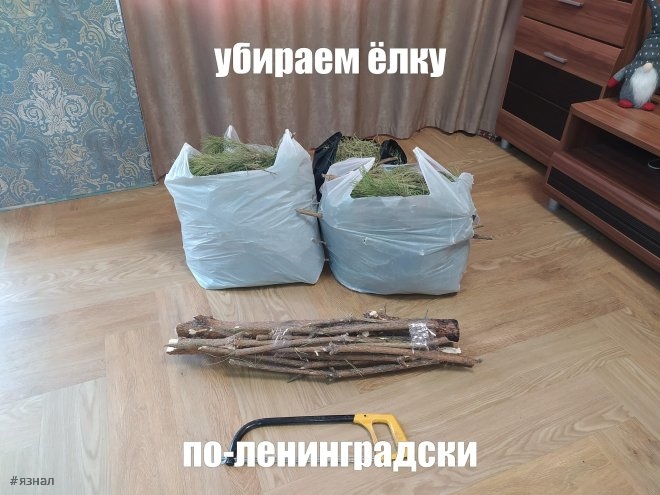 Смешные картинки