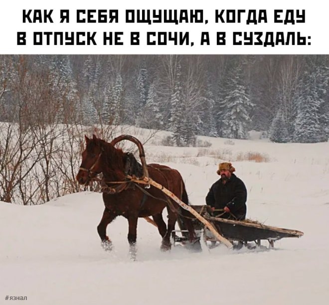 Смешные картинки
