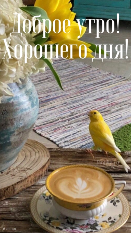 Доброго утра