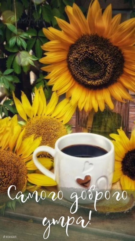 Доброго утра