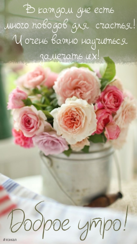 Доброго утра