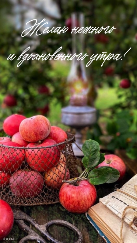 Доброго утра