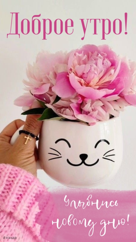 Доброго утра