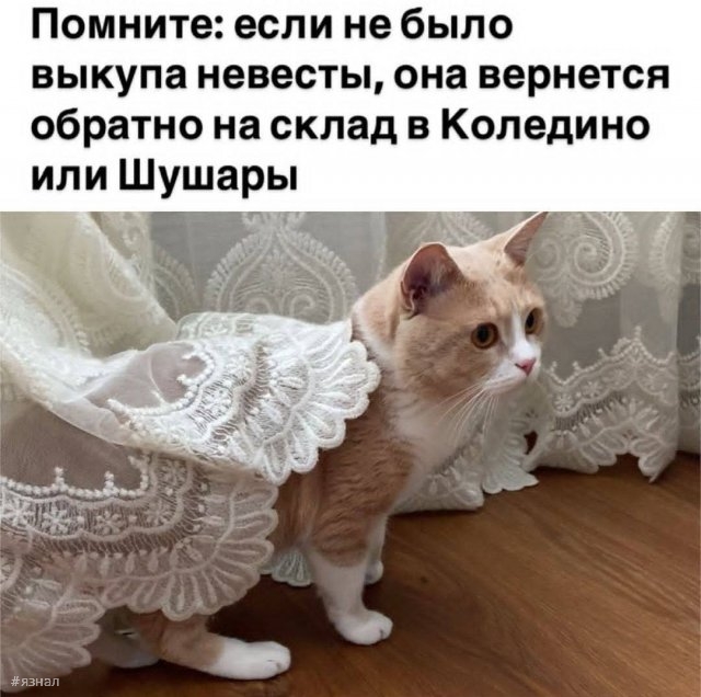 Картинки для хорошего настроения