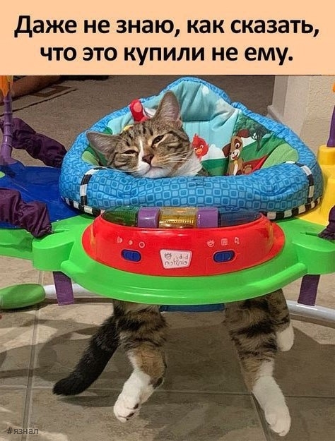 Картинки для хорошего настроения