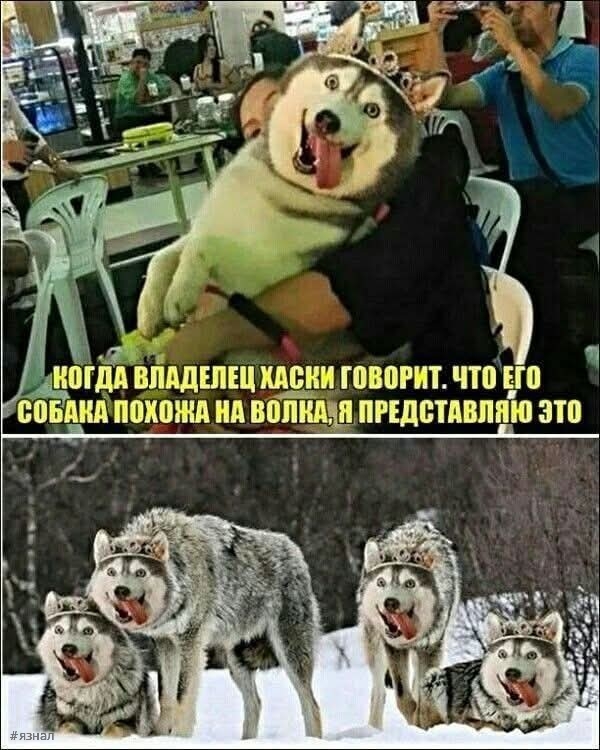 Картинки для хорошего настроения