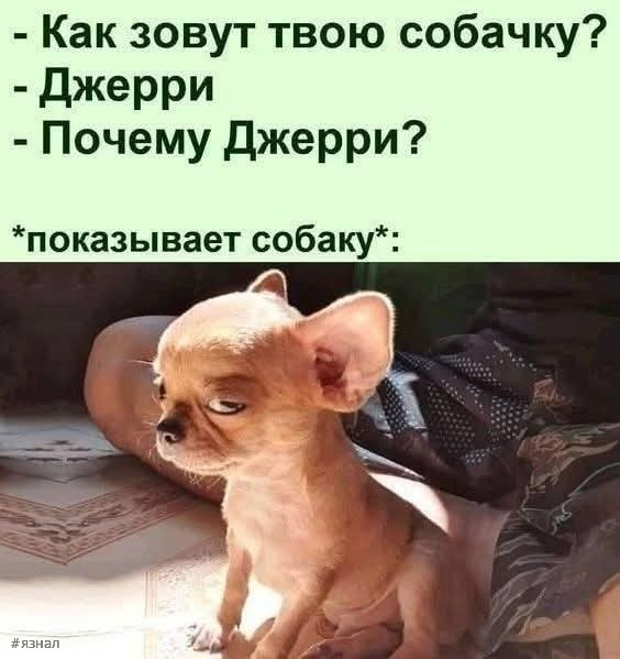 Картинки для хорошего настроения