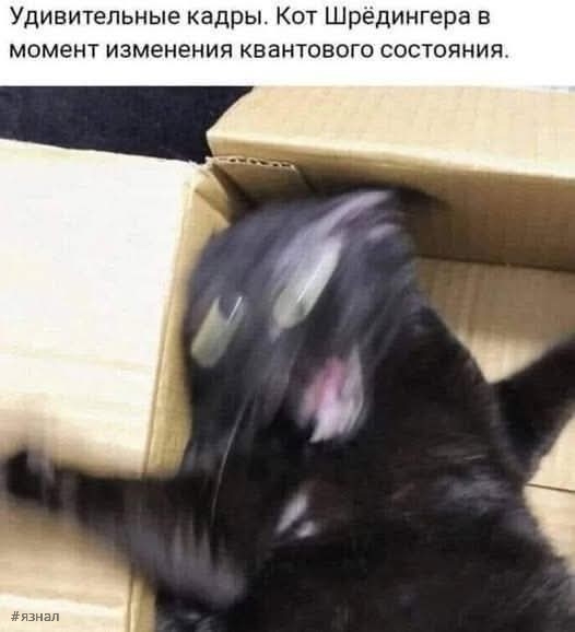 Картинки для хорошего настроения