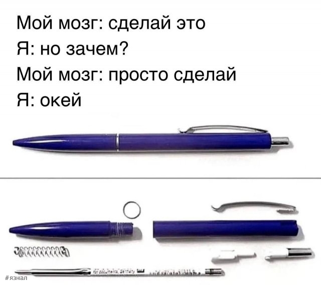 Картинки для хорошего настроения