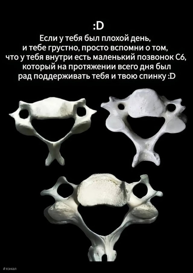 Картинки для хорошего настроения