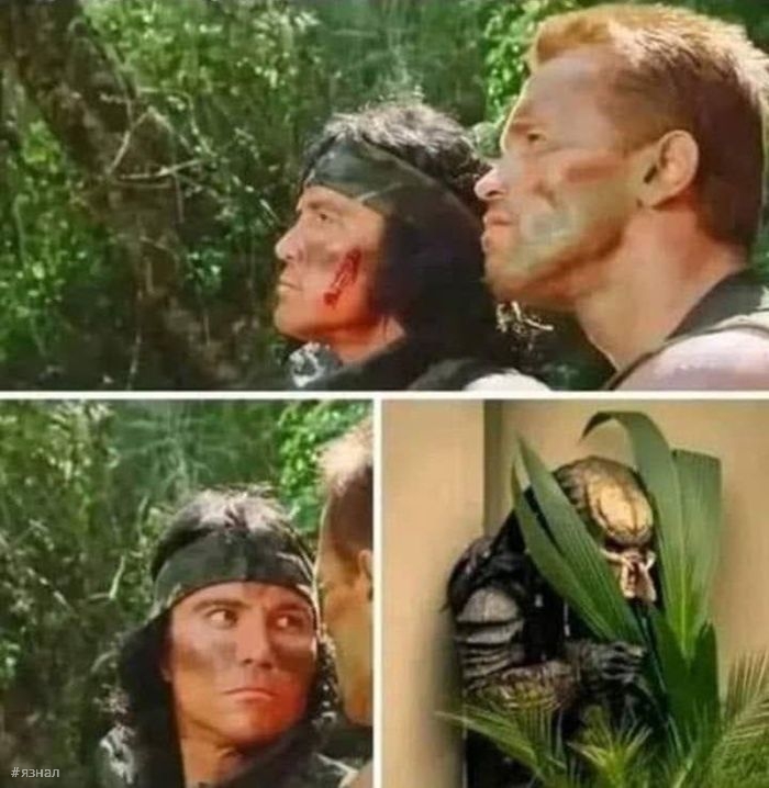 Смешные мемы и приколы