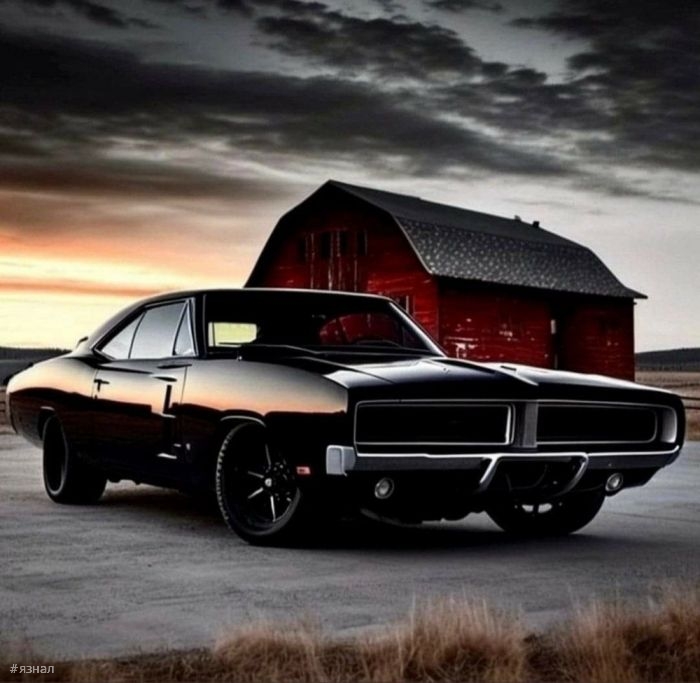 Смешные мемы и приколы