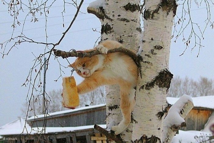 Смешные мемы и приколы