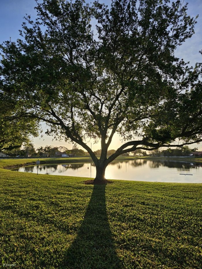 Смешные мемы и приколы