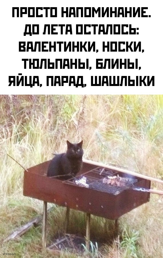 Смешные мемы и приколы