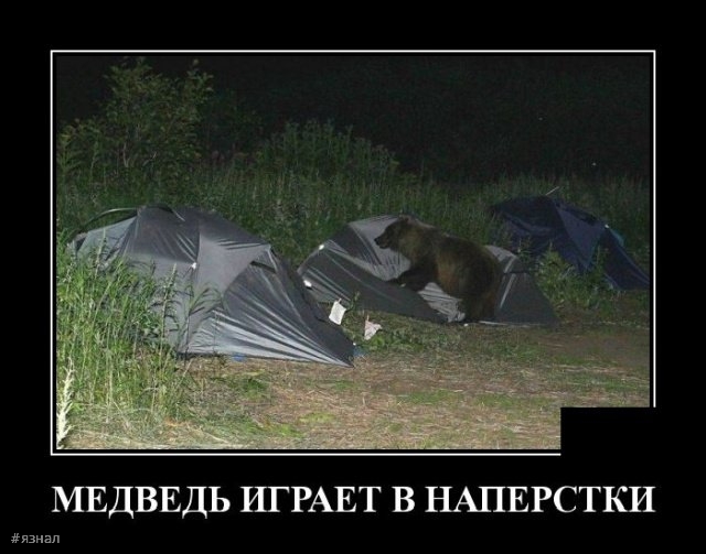 Приколы с надписями