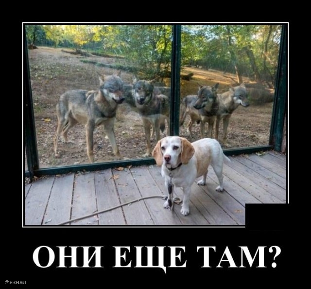 Приколы с надписями